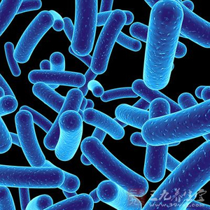 Probiotici in polvere misti di grado alimentare per le donne incinte