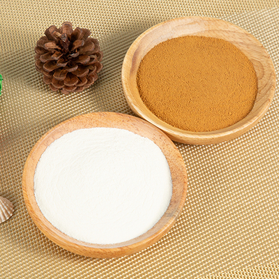 Probiotici premix in polvere per la salute della bocca