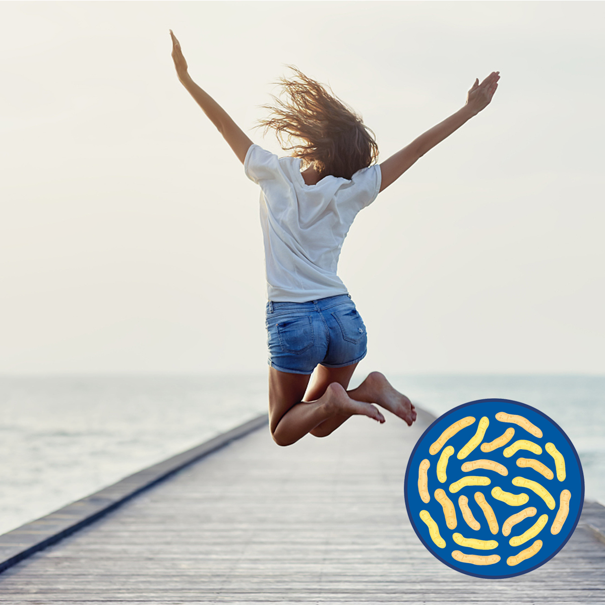 I probiotici Compound migliorare l'immunità in polvere per bambini adolescenti adulti the Aged